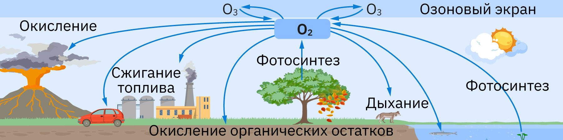 Облако знаний. Кислород как химический элемент и простое вещество.  Круговорот кислорода в природе. Химия. 8 класс