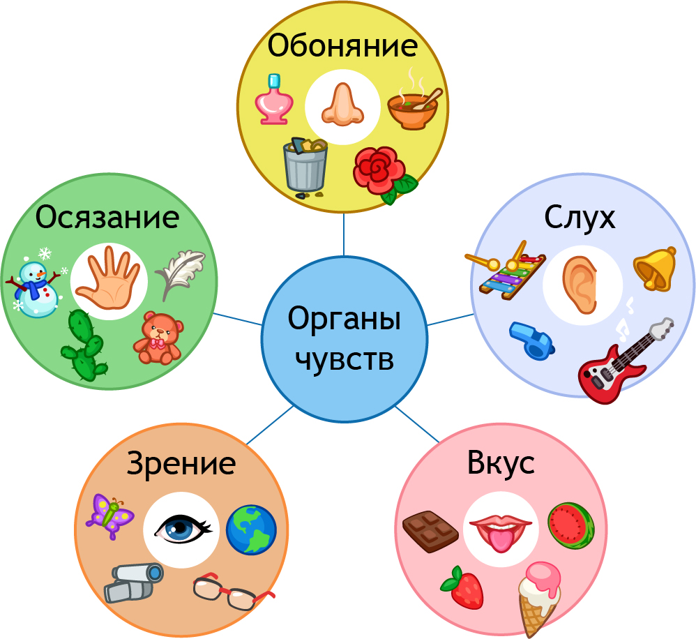 Облако знаний. Как ты воспринимаешь мир?. Окружающий мир. 1 класс