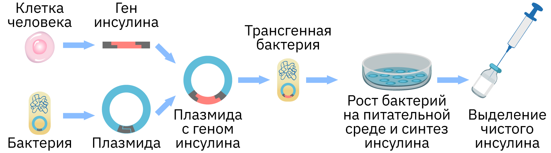 Облако знаний. Методы молекулярной и клеточной биологии. Биология. 10 класс