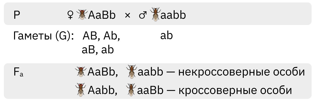 Анализирующее скрещивание