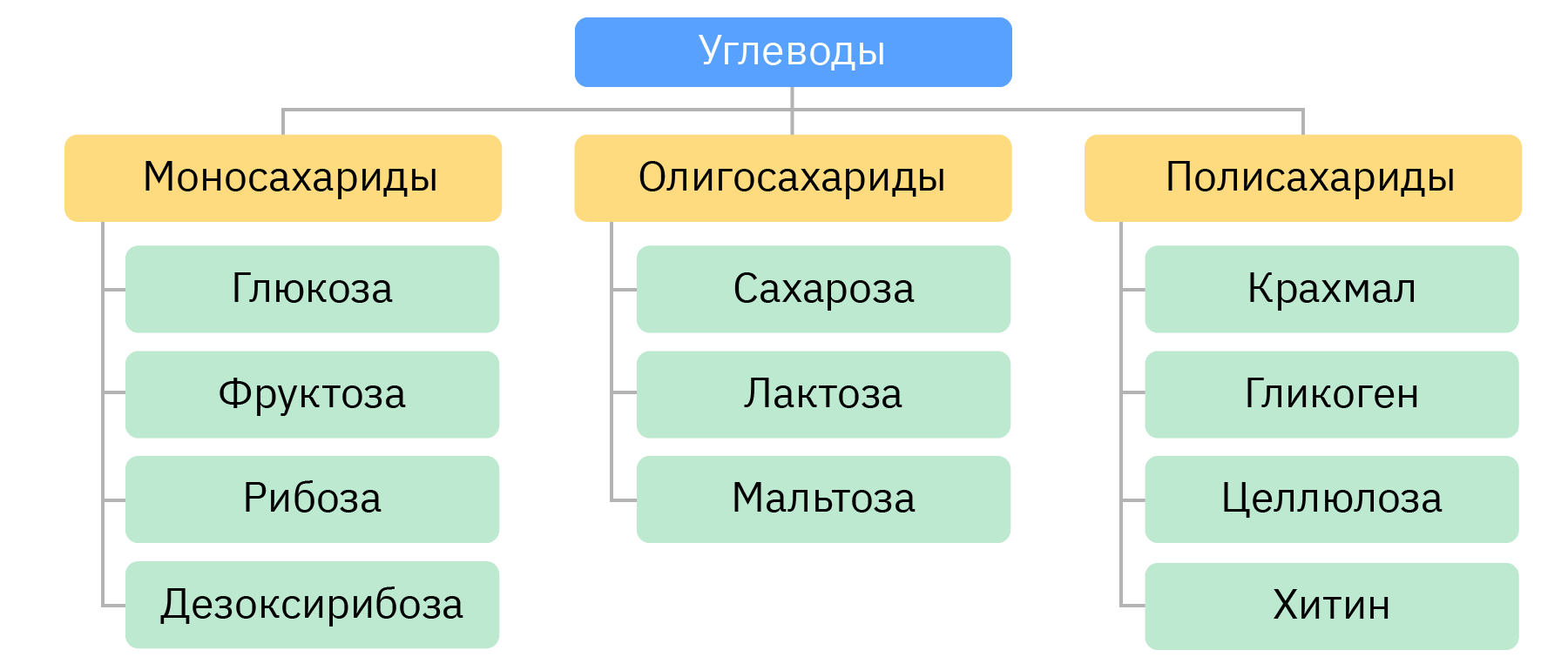 Группы углеводов