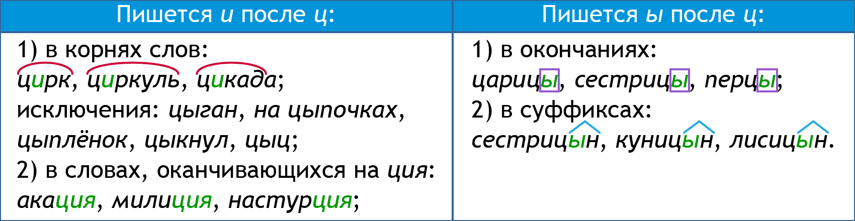 Отыскать почему ы. Цыган на цыпочках цыпленку цыкнул. Цыган на цыпочках цыпленку цыкнул цыц картинка. Цыц цыган цыпленок на цыпочках правило. Цыган на цыпочках цыпленку цыкнул цыц скороговорка.