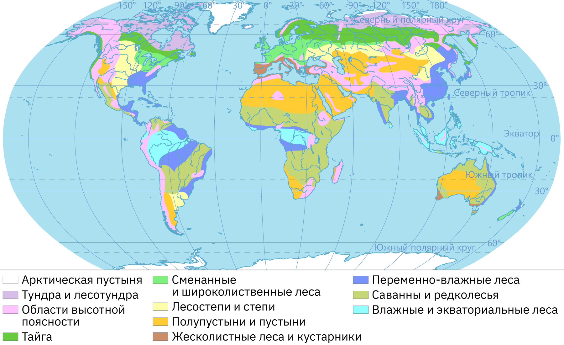 Природная зона тропического пояса